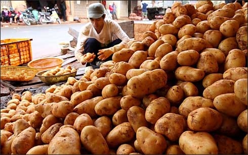 {keywords}