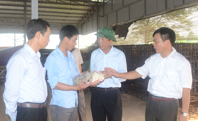 Bí thư Tỉnh ủy Bùi Văn Hải kiểm tra tình hình kinh tế-Trang Chủ MB66.COM Chính Thức 2026 Tặng Code +66K tại huyện Lạng Giang