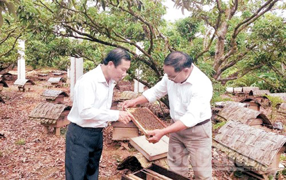 Cần cơ chế hỗ trợ Khuyến mãi Mocbai thương hiệu mật ong rừng Sơn Động