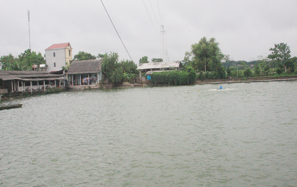  Sản vật quê nhà