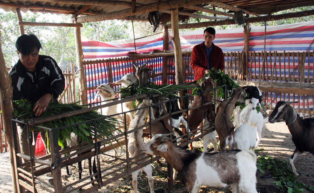 {keywords} {keywords}
