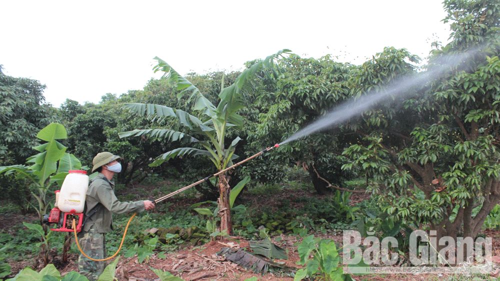 {keywords} {keywords}
