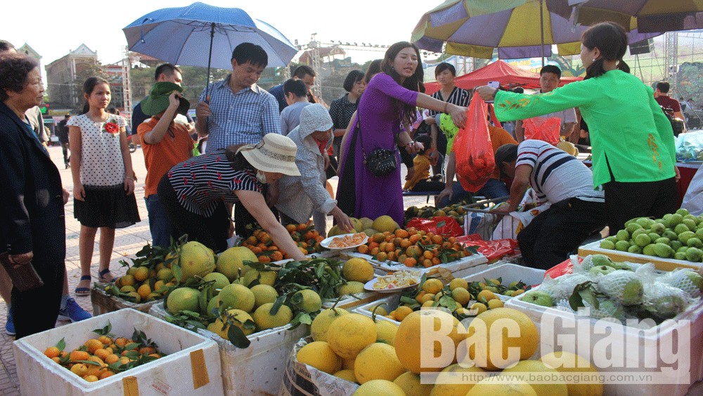 Sản phẩm đặc trưng huyện Lục Ngạn được tiêu thụ mạnh