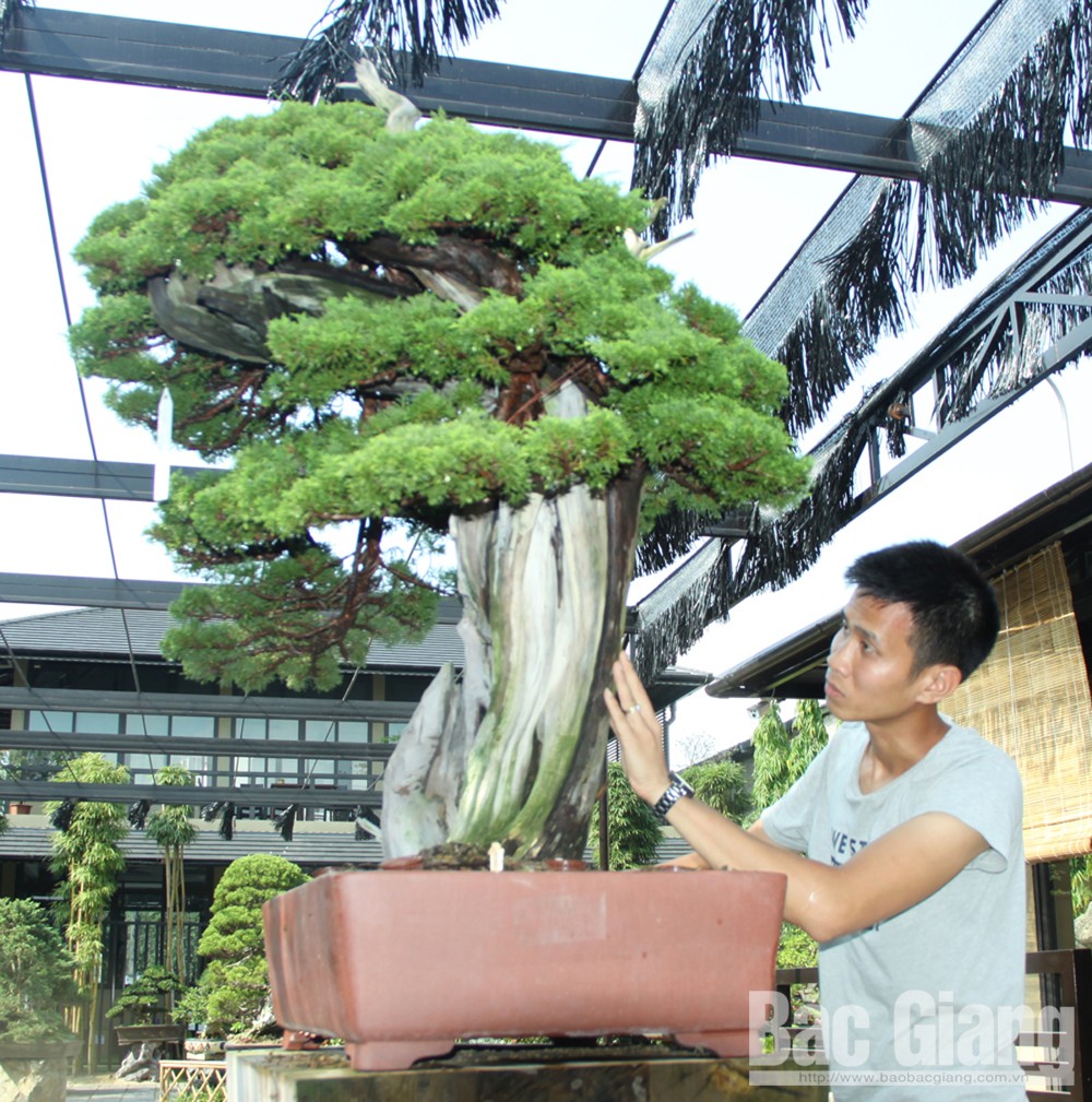 {keywords}