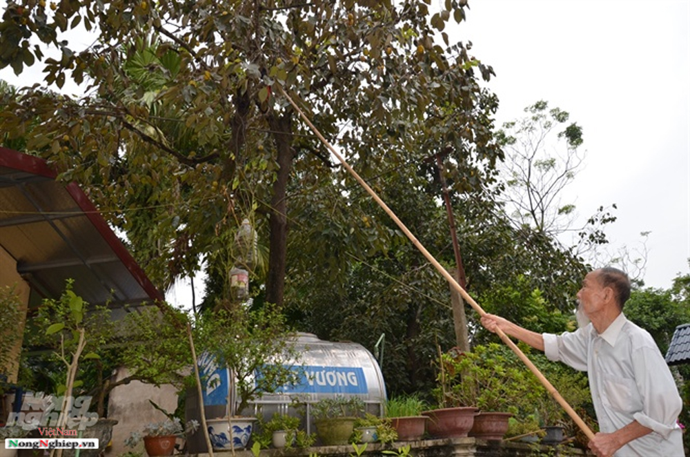 {keywords} {keywords}