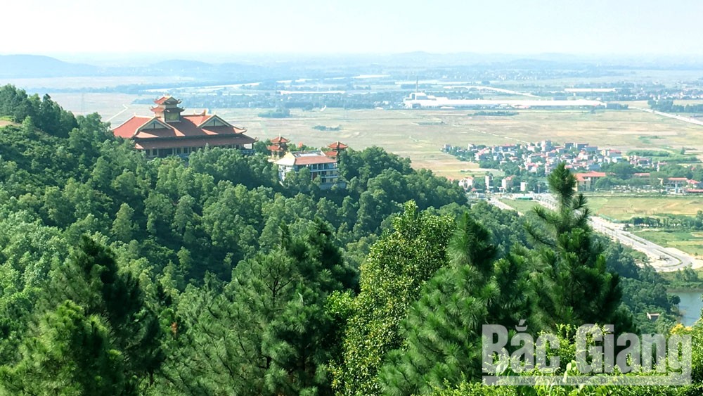 Khai thác ba loại hình Trung tâm chăm sóc khách hàng MB66 trọng tâm đất Phượng Hoàng