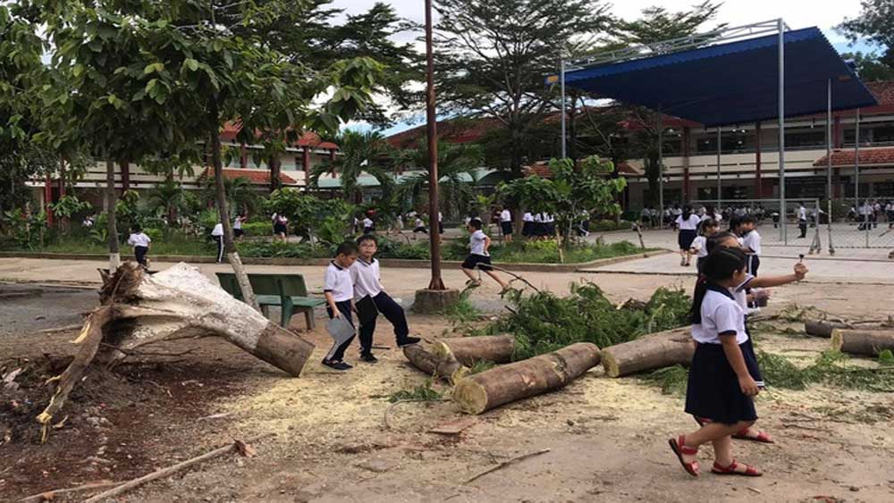 {keywords} {keywords}