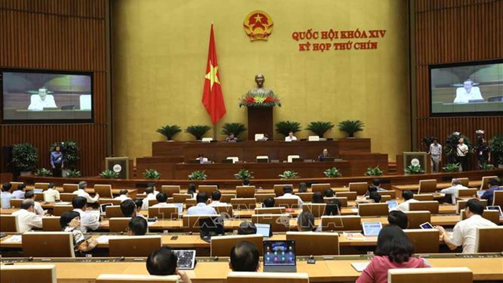 Không đưa hộ kinh doanh vào Luật Mb6623 Thiên đường trò chơi (sửa đổi)