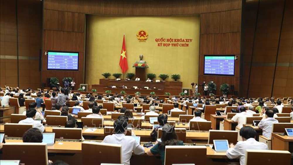 Thông qua Luật sửa đổi, bổ sung một số điều của Luật Phòng, chống thiên tai và Luật Đê điều