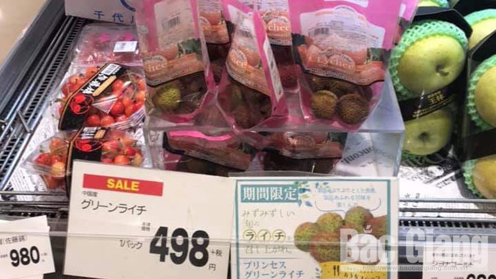 Giá bán vải thiều Lục Ngạn tại Nhật Bản từ 180-270 nghìn đồng/kg