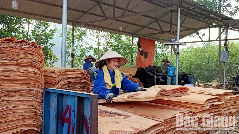 Xã Dương Hưu (Sơn Động): Giàu lên từ rừng