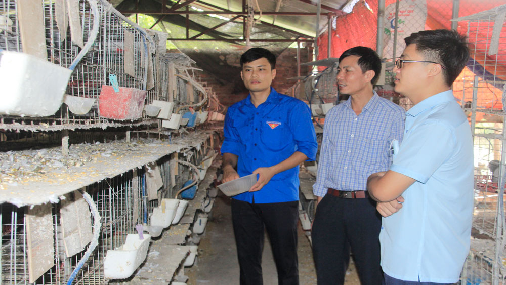 Tuổi trẻ Bắc Giang lập nghiệp trên quê hương