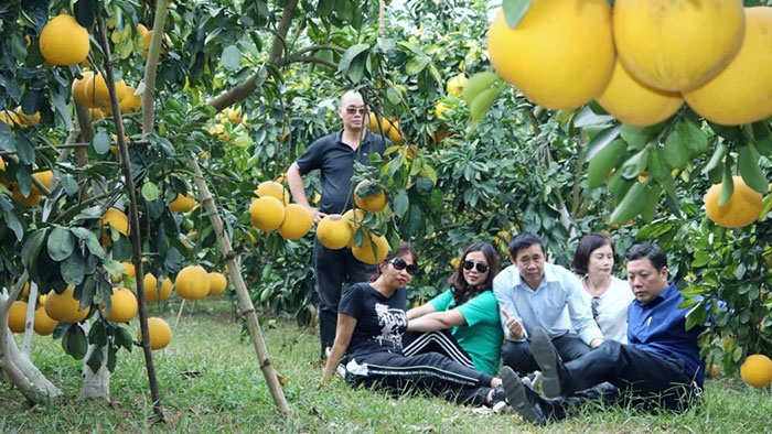 Đánh thức tiềm năng phát triển Trung tâm chăm sóc khách hàng MB66