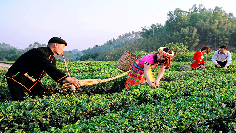 Đánh thức tiềm năng Trung tâm chăm sóc khách hàng MB66 cộng đồng: Bài 2- Những tín hiệu vui
