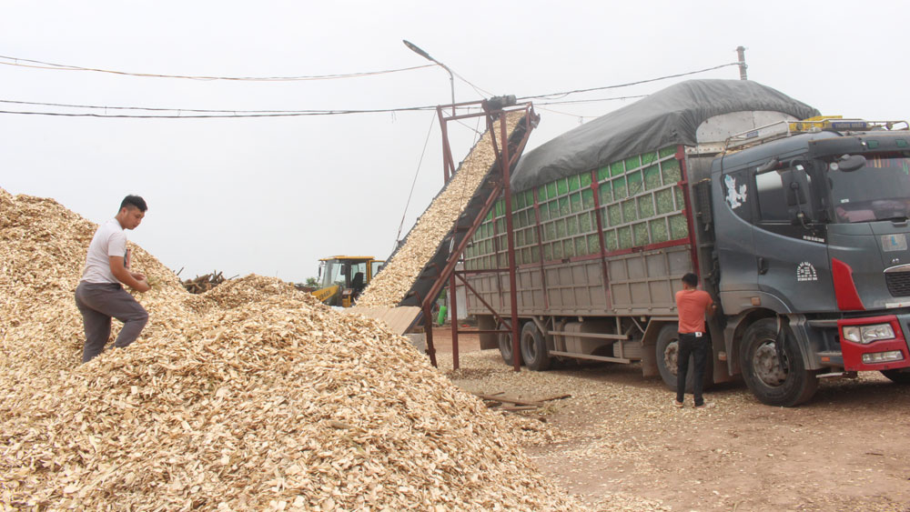 Sơn Động chú trọng phát triển Mocbai66 Đăng ký thành viên mới chế biến gỗ