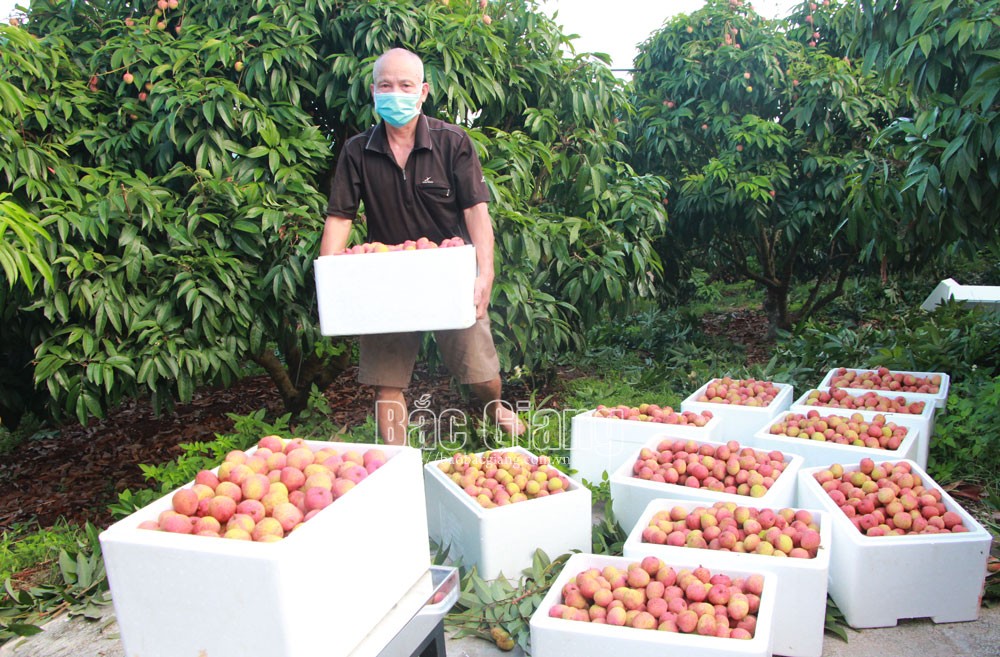 {keywords}
