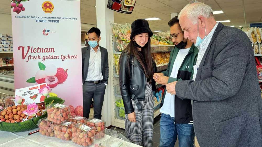 {keywords}