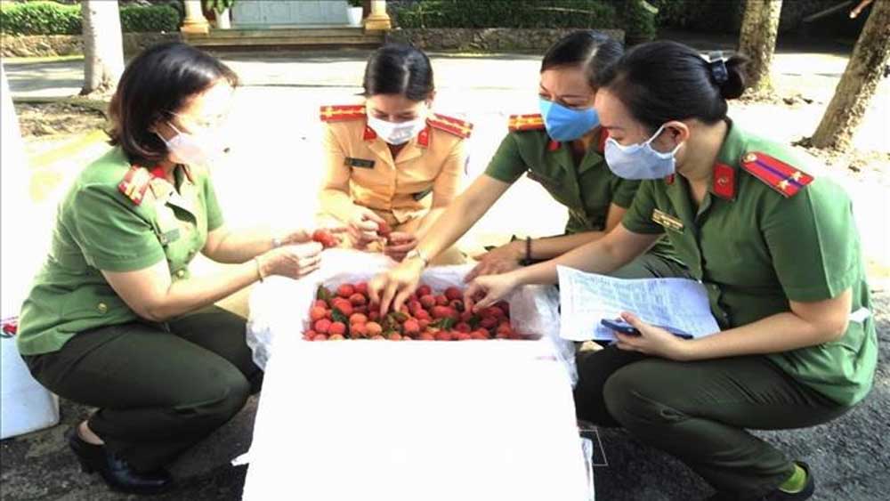 Đồng Nai kết nối tiêu thụ 110 tấn vải thiều Bắc Giang