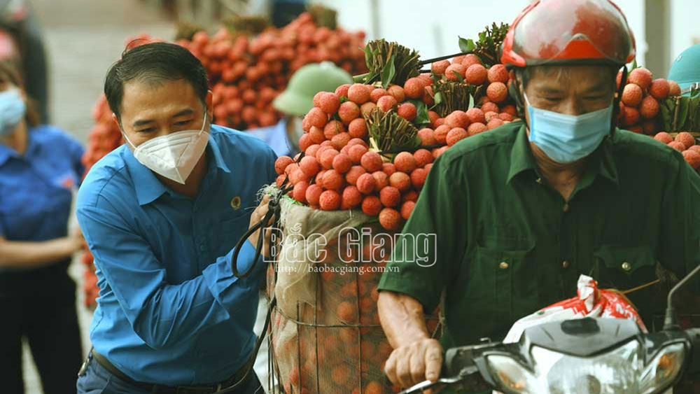 Mô hình kết nối tiêu thụ nông sản: Hình thành một nền MB66 là nhà cái uy tín hàng đầu Việt Nam minh bạch