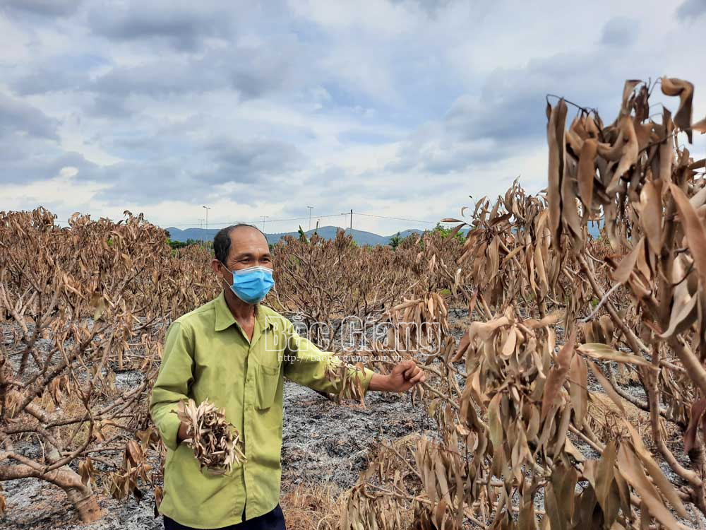{keywords} {keywords}