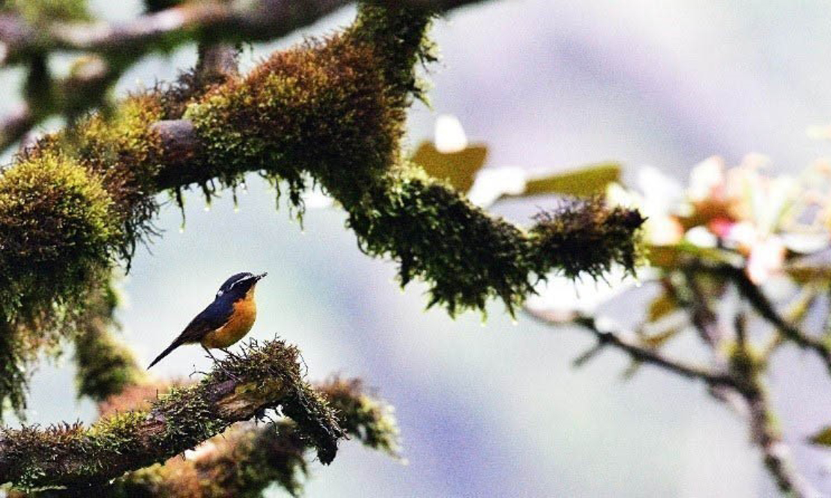{keywords} {keywords}