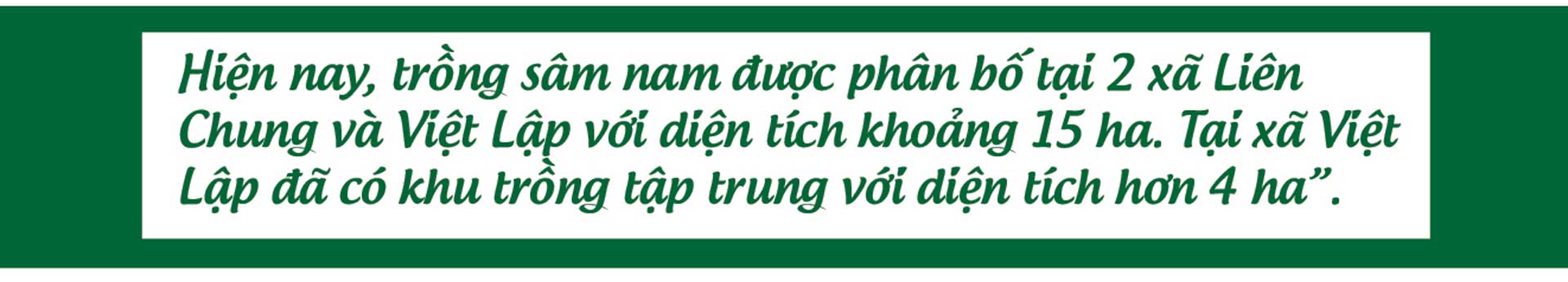 sâm nam núi dành, báu vật núi dành, sâm nam núi dành chỉ dẫn địa lý, bảo hộ sâm nam núi dành, sâm tân yên