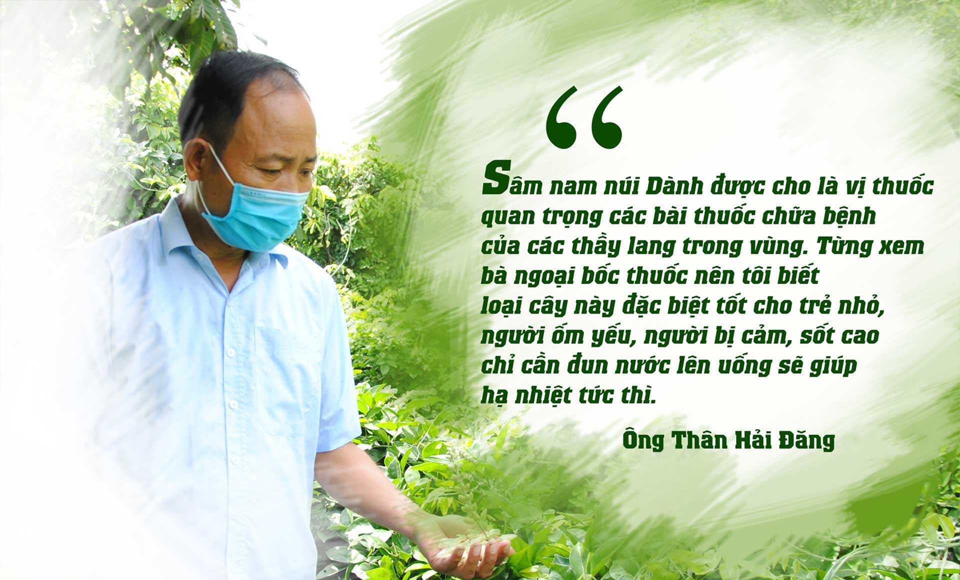 sâm nam núi dành, báu vật núi dành, sâm nam núi dành chỉ dẫn địa lý, bảo hộ sâm nam núi dành, sâm tân yên