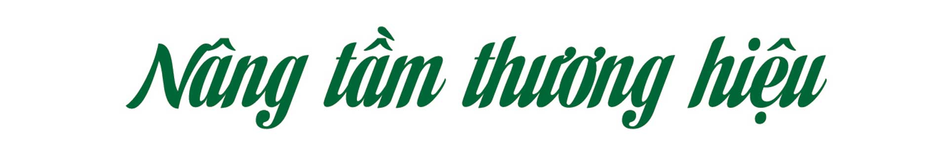 sâm nam núi dành, báu vật núi dành, sâm nam núi dành chỉ dẫn địa lý, bảo hộ sâm nam núi dành, sâm tân yên