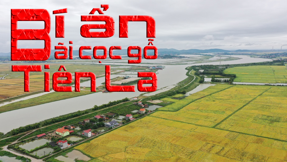 Bí ẩn bãi cọc gỗ Tiên La