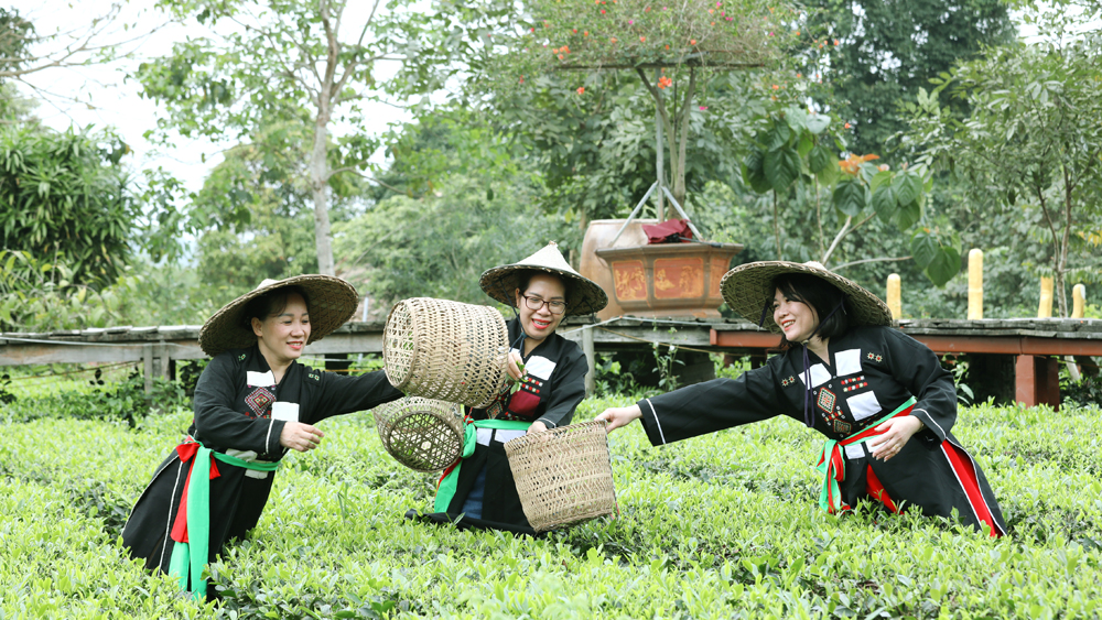 Trải nghiệm tại điểm Trung tâm chăm sóc khách hàng MB66 Bản Ven (Yên Thế)