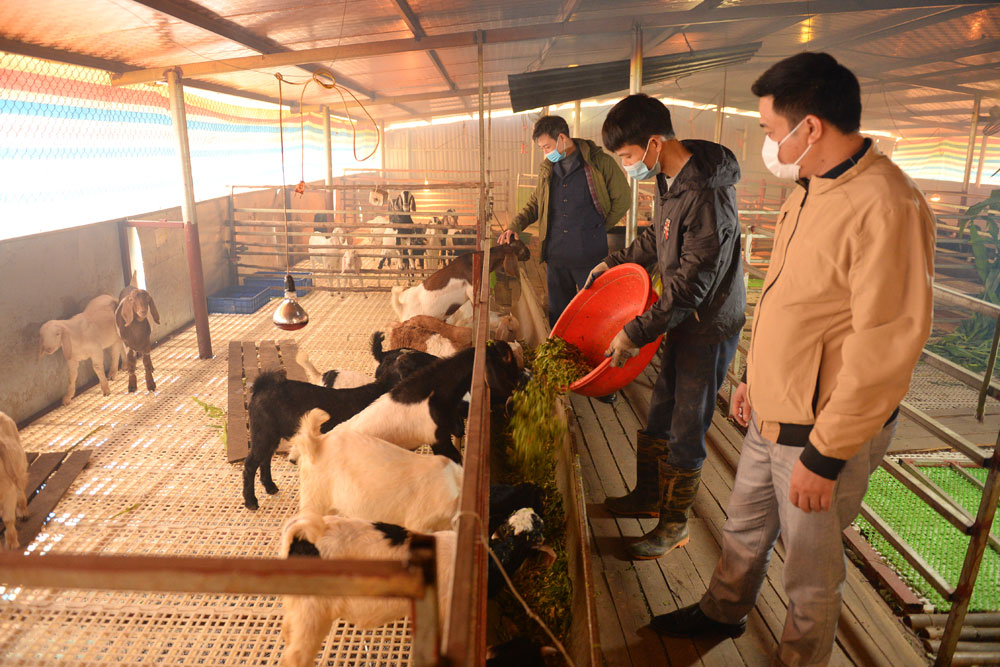 {keywords} {keywords}
