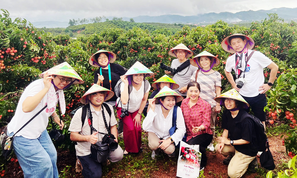 Quảng bá thương hiệu, tăng giá trị vải thiều