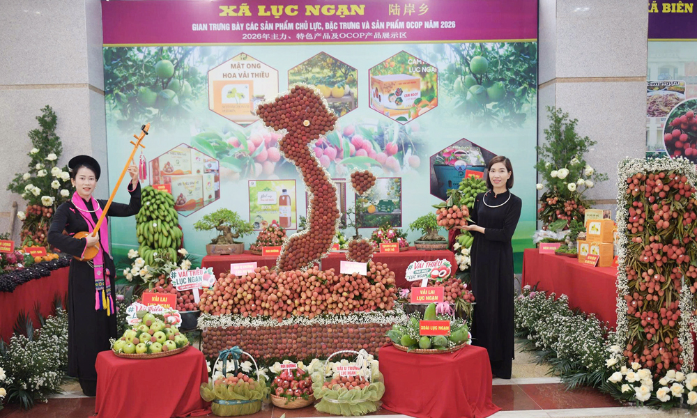 Đa dạng sản phẩm trưng bày tại hội nghị xúc tiến tiêu thụ vải thiều và nông sản chủ lực Trang Chủ Chính Thức MB66.COM