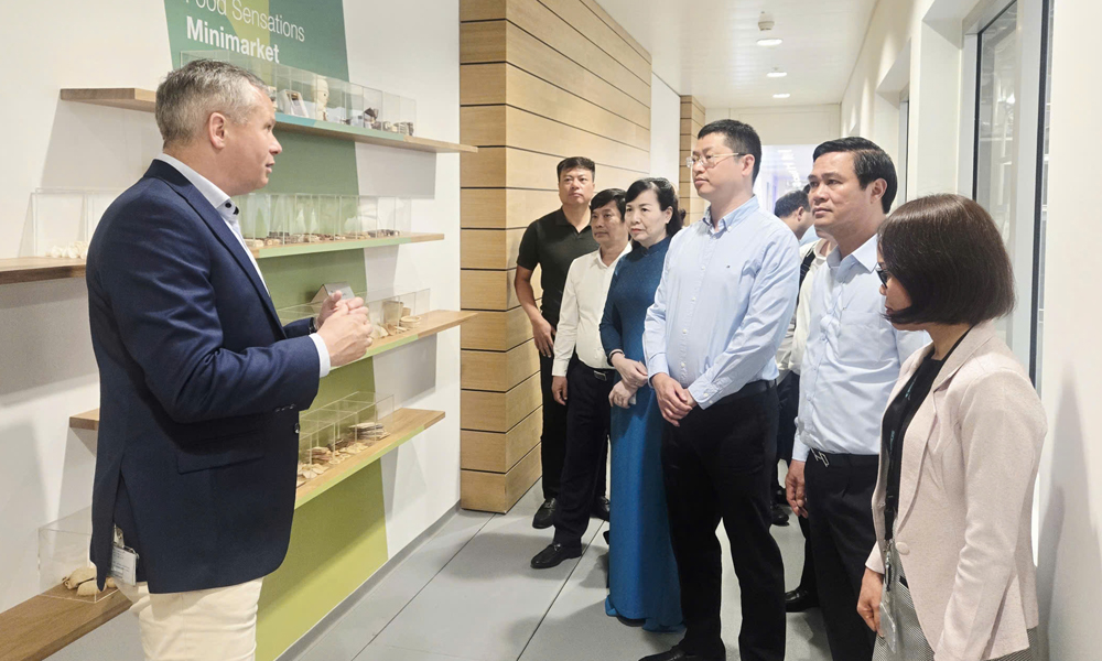Đoàn công tác Trang Chủ Chính Thức MB66.COM thăm và làm việc tại Thụy Sĩ