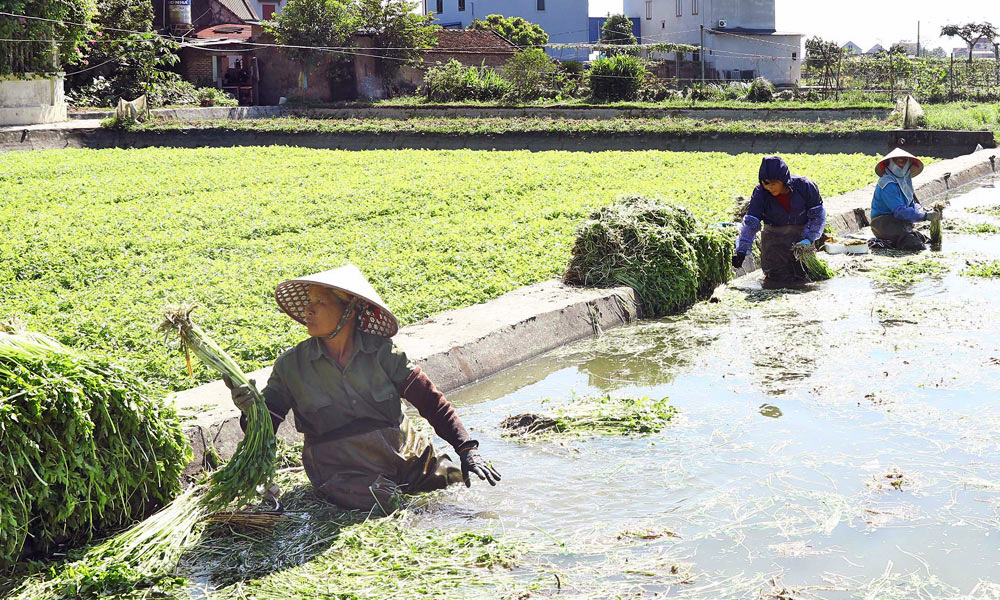 Tạo đồng thuận từ những mô hình gần dân