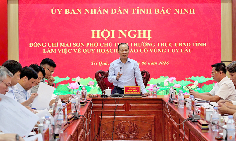 Phó Chủ tịch Thường trực UBND tỉnh Mai Sơn làm việc về Quy hoạch khảo cổ học vùng Luy Lâu