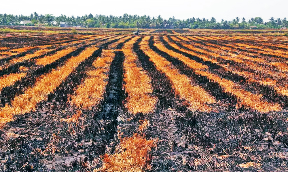 Khả năng El Nino rất mạnh: Việt Nam đối mặt nhiều đợt nắng nóng, bão mạnh