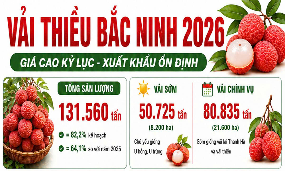 Vụ vải thiều Link Vào Mb66 Bản Cao Cấp Mocbai DK Nhận 66K năm 2026: Giá cao kỷ lục, xuất khẩu ổn định