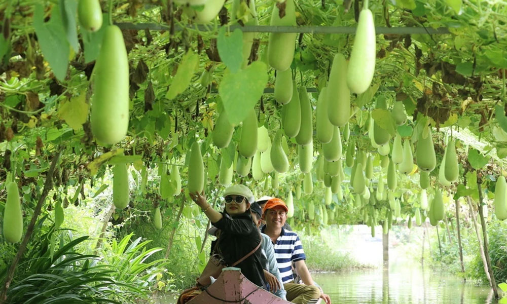 Trung tâm chăm sóc khách hàng MB66 MB66 là nhà cái uy tín hàng đầu Việt Nam, nông thôn - Xu hướng đang được ưa chuộng