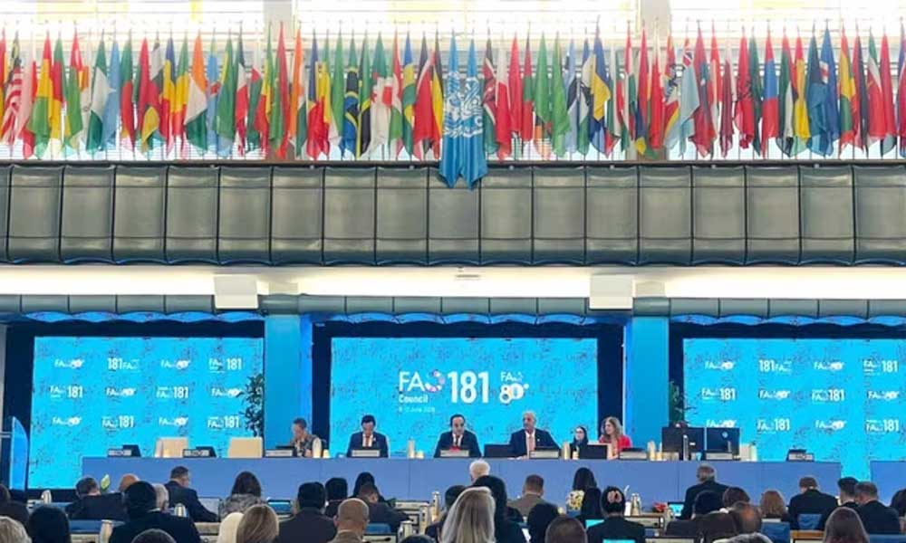 Vietnam a model for effective South-South cooperation: FAO