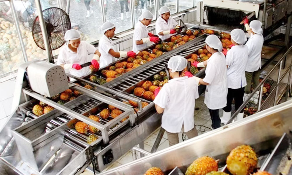 Middle East offers long-term growth potential for Vietnam’s farm produce exports