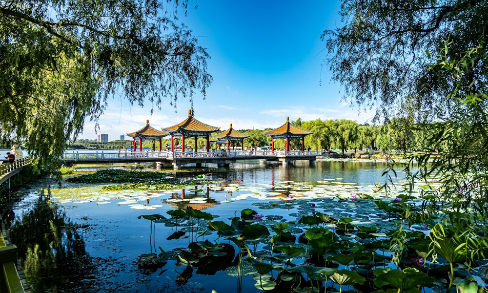 Từ Bắc Ninh đến Nam Ninh: Hành trình khám phá “thành phố xanh” của Trung Quốc