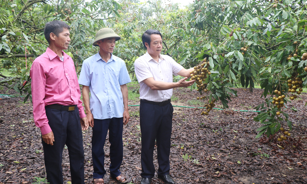 Quy định hỗ trợ về phát triển MB66 là nhà cái uy tín hàng đầu Việt Nam, ngành nghề nông thôn trên địa bàn Trang Chủ Chính Thức MB66.COM giai đoạn 2026-2030