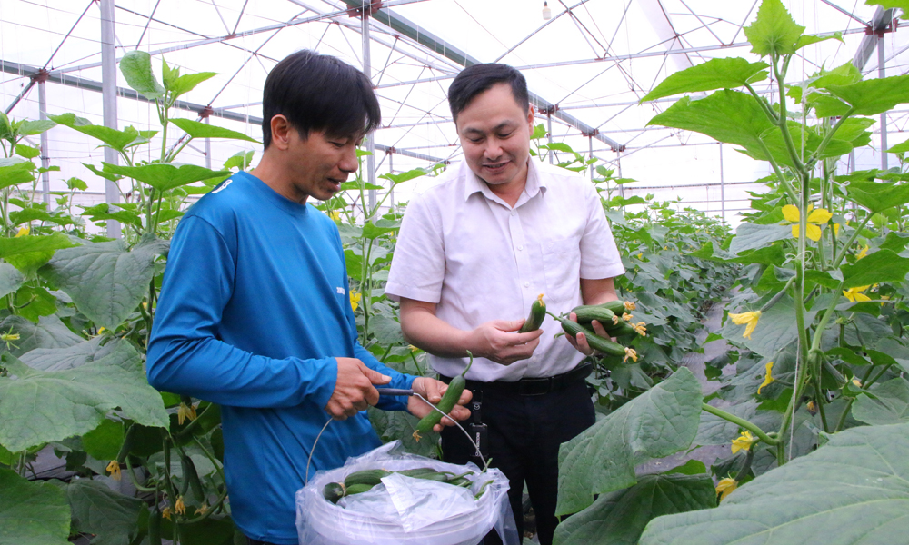 Đánh thức đồng quê