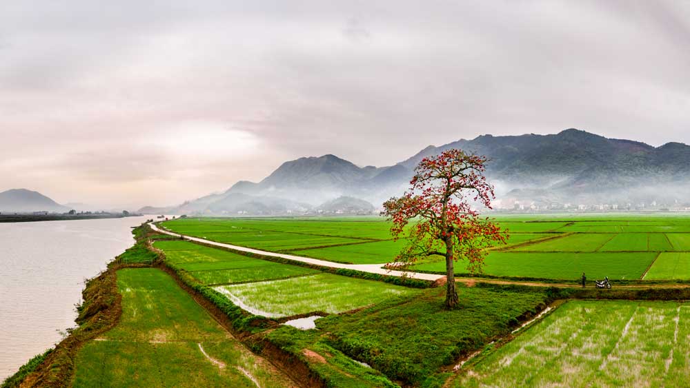 Miền sông Lục núi Huyền