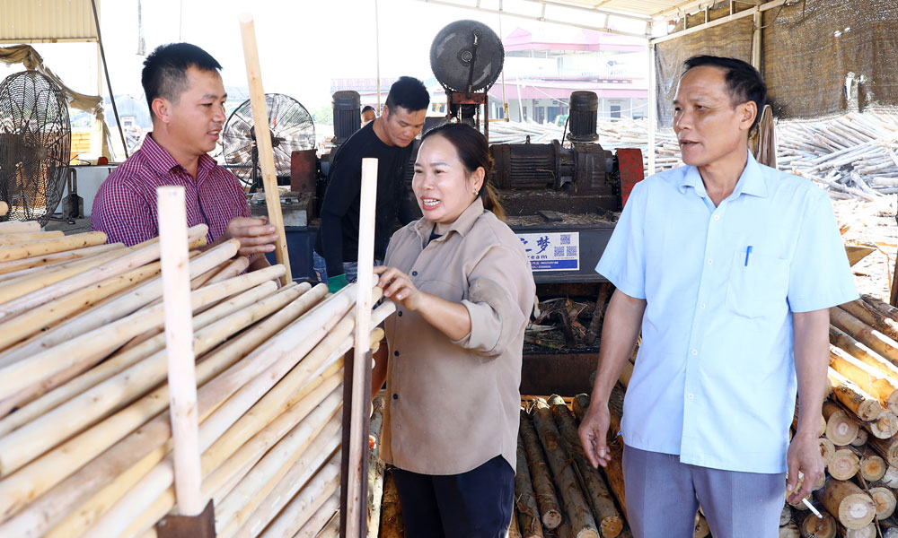 Phát triển nguồn từ những hạt nhân cơ sở