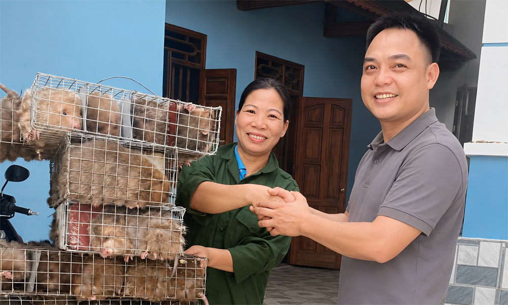 Nữ Bí thư Chi bộ năng động, dám nghĩ, dám làm