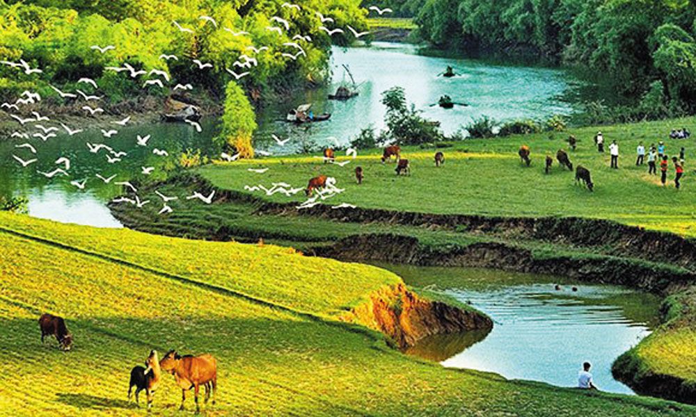 Trở lại dòng sông tuổi thơ 