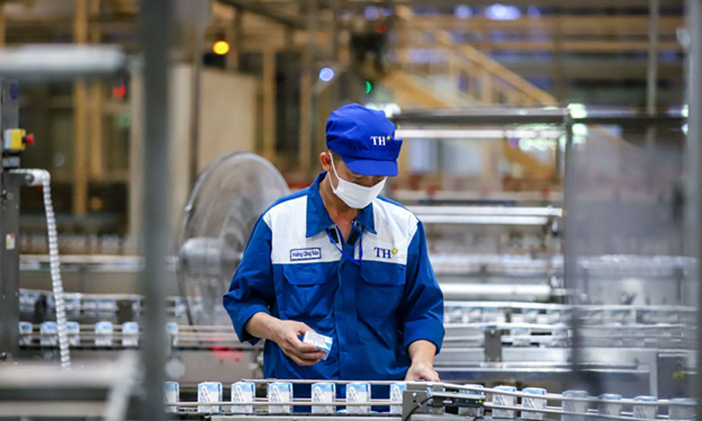 TH true MILK vào top "Nhãn hiệu nổi tiếng Việt Nam năm 2026"