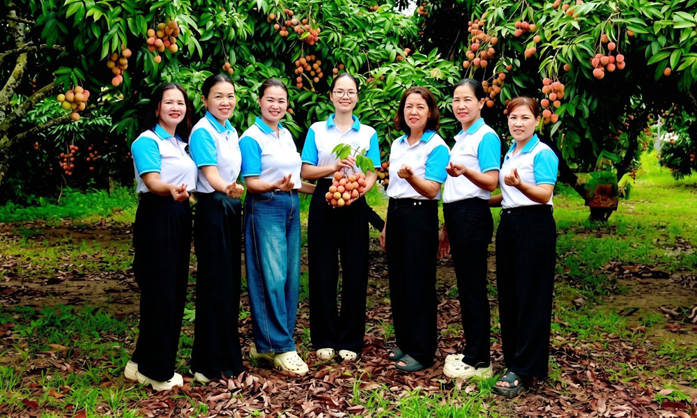 Bắc Ninh: Khéo dân vận, khơi sức dân xây dựng nông thôn mới
